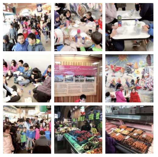 Collage 1
