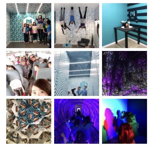 Collage 1